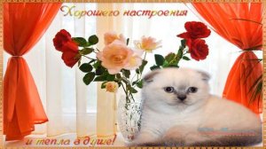 Пускай тебе сопутствует удача! Прекрасного настроения!