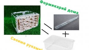 Пробирочный формикарий дома СВОИМИ РУКАМИ!!!