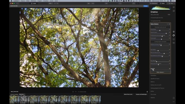 Faça mágica em suas fotos com o Luminar para Mac/PC смотреть онлайн