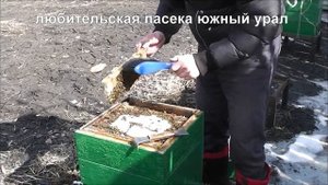 сокращаем альпийцы мфу улья или улей удав,для чего и зачем сокращаем семьи как сократить пчел