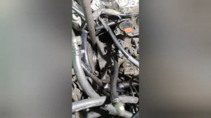 тагер 2.9 турбодизель. меняем VE-тнвд на рядник тнвд