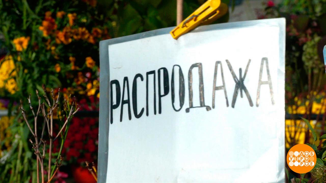 Осенние распродажи для дачников. Доброе утро. Фрагмент выпуска от 27.09.2023