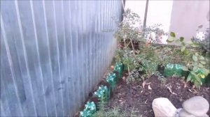 Последний штрих на газоне. Вазоны из пластиковых бутылок.