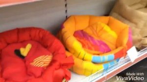 VLOG:Покупаем собаку