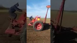 Испытания  удобрения «Хозяин Плодородия с Микоризой"