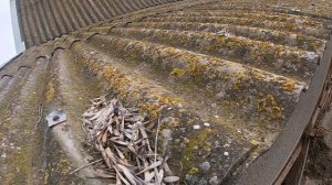 Демонтаж водостока и обрезка шифера