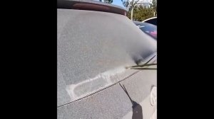 Собака защищает ребенка...