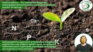 Уход за комнатными осень зима Цитовит