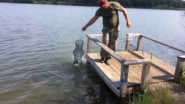 Коммерческий водоем.(Коновалово).