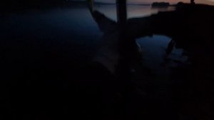 КАК ПОЙМАТЬ СУДАКА НОЧЬЮ / ЛУЧШИЙ ВОБЛЕР НА НОЧНОГО СУДАКА / СНАСТИ, ПРОВОДКИ, ВРЕМЯ