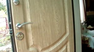 Входные металлические двери в дом какие лучше