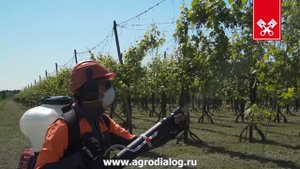 Бензиновый опрыскиватель Efco AT 900