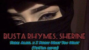 Busta Rhymes, Sherine - Sabri Aleel x I Know What You Want (TikTok remix)