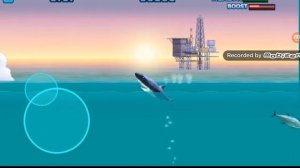 Обзор всех игр Hungry Shark (Хангри Шарк)