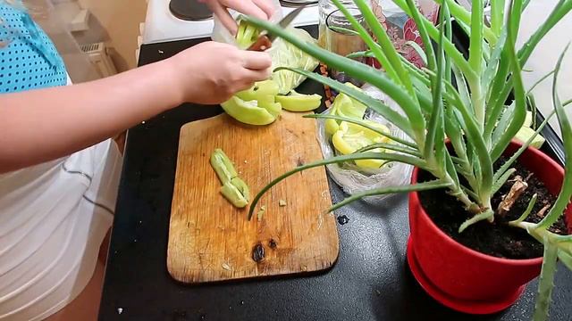 ЗАГОТОВКИ НА ЗИМУ/ У НАС ПОЯВИЛАСЬ ПАЛЬМА))/ ЗА ГРИБАМИ/ ДОМАШНЕЕ СВЕТОВОЕ ШОУ смотреть онлайн