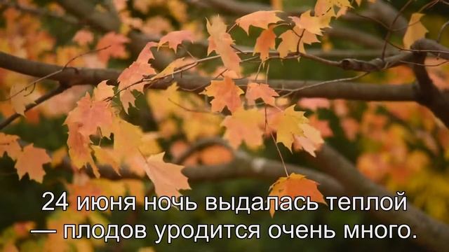 Приметы Лето, народные приметы