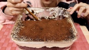 ASMR TIRAMISU CAKE COSTCO EATING SDOUNDS MUKBANG NO TALKING コストコ ティラミス 咀嚼音 大食い