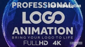 I will create fully custom logo animation