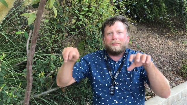 Cortaderia selloana Natural History смотреть онлайн