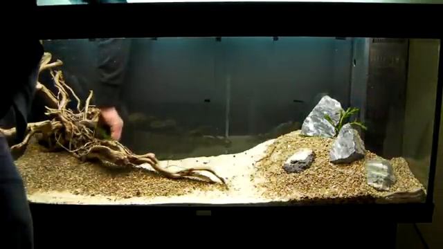 Aquarium Setup - Aquascape - Step by Step - Live Planted Fish Tank