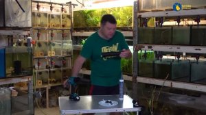 Обзор моего аккумуляторного пистолета для герметика Makita DCG 180