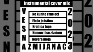 Vesna Zmijanac - Instrumental Cover (2023)