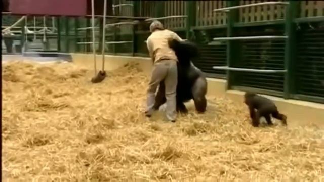 Удивительные Истории о Дружбе Людей и Животных