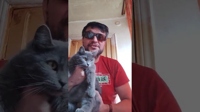 Радостные, счастливые деньки❤❤❤❤🥰🥰🥰🥰❤❤❤🥰🥰🥰Душа поёт 🙏🙏🙏 смотреть онлайн