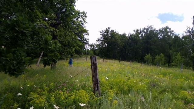 5 июля 2022 г..mp4 смотреть онлайн