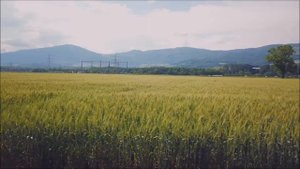 Я бегу навстречу дали голубой | Песнь Возрождения | христианская музыка