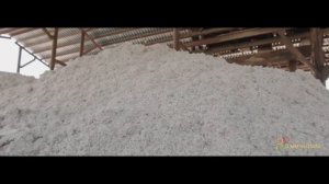 Производство шрота АО "Шымкентмай" рус.