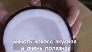 Как открыть кокос. Простой и быстрый способ открыть кокос дома. Как открыть кокос правильно.