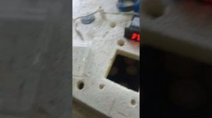 вывод яиц на 22 день нет проклева.