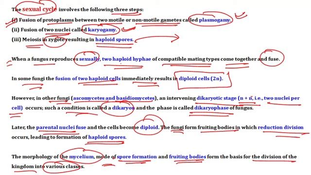 Biological Classification | Part 04 | Fungi | Phycomycetes Ascomycetes Basidiomycetes Deuteromycete смотреть онлайн