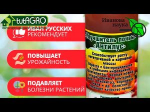 АНТИЛУС: ваши растения и урожай под защитой и охраной 24/7. Сенная палочка - мощная выручалочка.