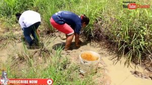 Wow ! Amazing beautiful girl Fishing in Cambodia   How to Fishing   By New York  part 131