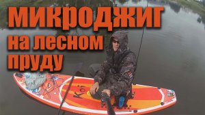 Микроджиг на лесном пруду. Грибы и окуни