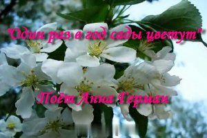Один раз в год сады цветут