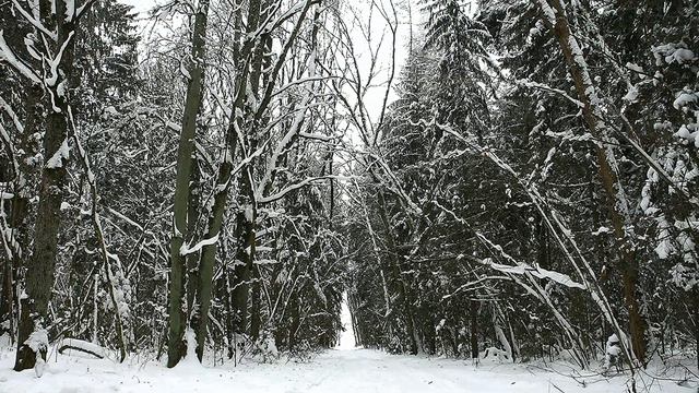 Прилукский биологический заказник в Беларуси