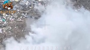 Хохол  не ползи - умрешь уставшим