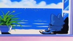 mr.kitty - after dark // slowed & reverbed