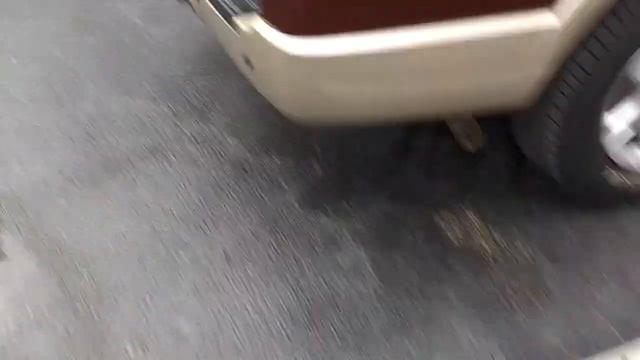 2006 Ford Expedition 6LA50184 смотреть онлайн