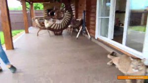 Прямой эфир.  30 мая