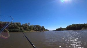 Селитренное / Cентябрь 2020 / Ловля на джиг / День 4