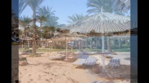 отель Hilton Sharm Dreams Resort 5
