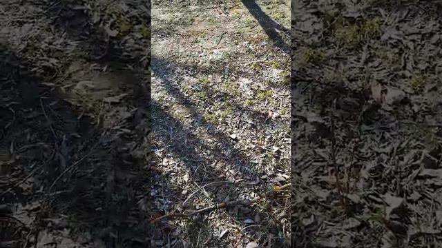 Пора собирать пластик смотреть онлайн