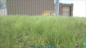 S+ Dedicated Storage Interface | Ark Survival Evolved