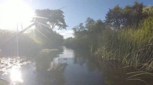 ГОЛАВЛЬ НА МИКРОРЕЧКЕ! Проверка новых мест оказалась результативна!