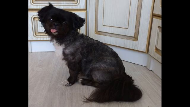 С днем Рождения Ольга Александровна! смотреть онлайн