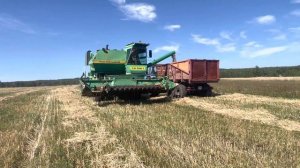 Уборка овса, комбайном НИВА
